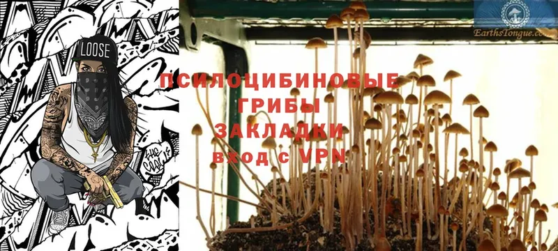 KRAKEN tor  Ак-Довурак  Галлюциногенные грибы MAGIC MUSHROOMS 